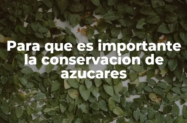 Para que es Importante la Conservacion de Azucares