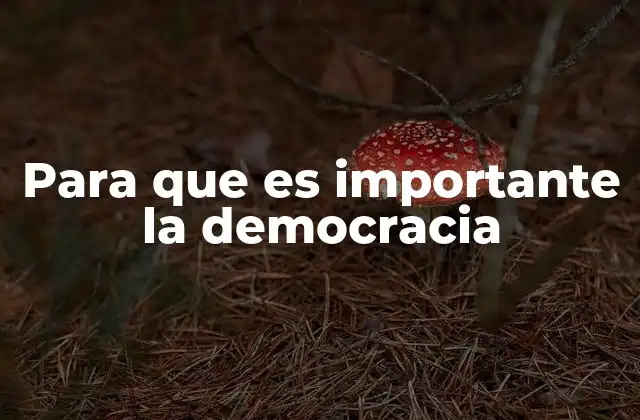 Para que es Importante la Democracia