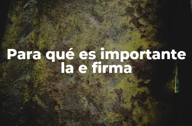 Para Qué es Importante la e Firma