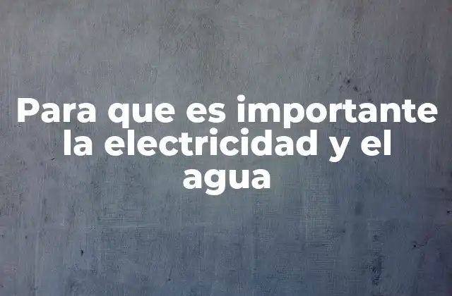 Para que es Importante la Electricidad y el Agua