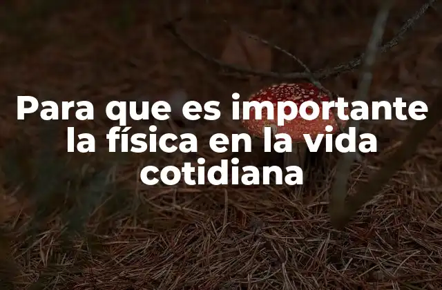Para que es Importante la Física en la Vida Cotidiana