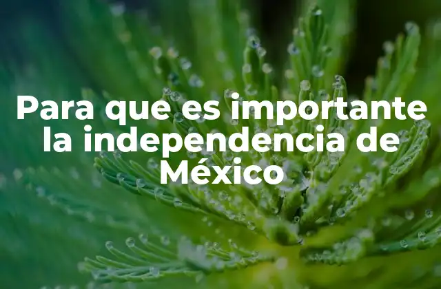 Para que es Importante la Independencia de México 2 El legado de la lucha por la libertad en México