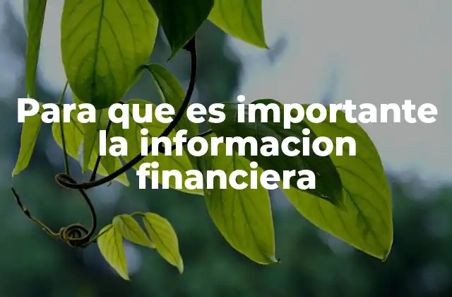Para que es Importante la Informacion Financiera