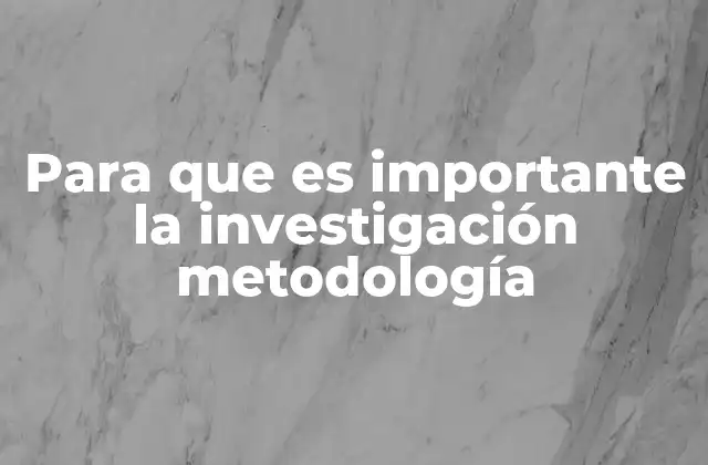 Cómo la metodología estructura el proceso de investigación