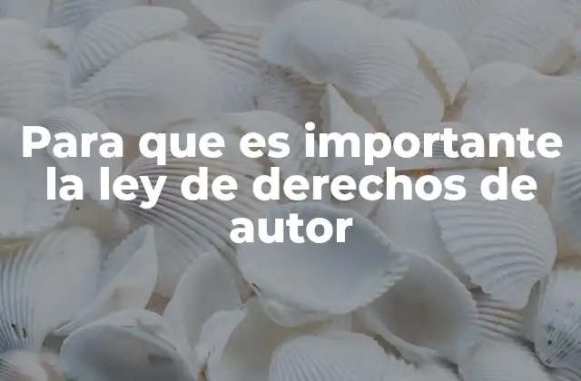 Para que es Importante la Ley de Derechos de Autor