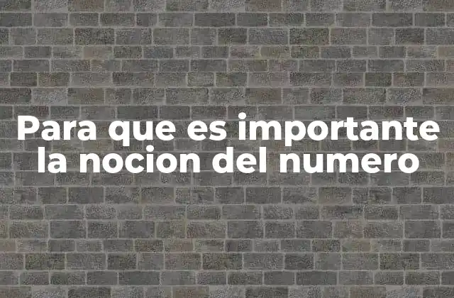 Para que es Importante la Nocion Del Numero