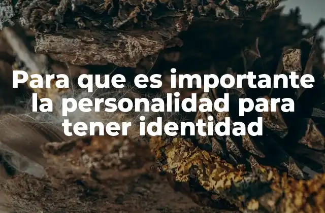 El papel de la personalidad en la construcción de la identidad