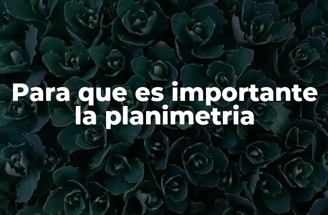 Para que es Importante la Planimetria