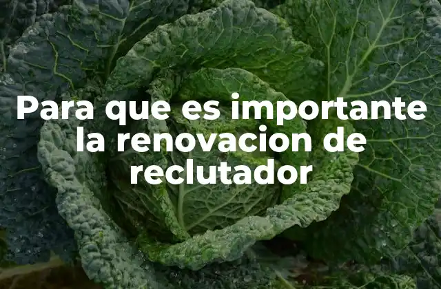 Para que es Importante la Renovacion de Reclutador