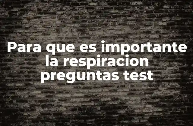 Para que es Importante la Respiracion Preguntas Test