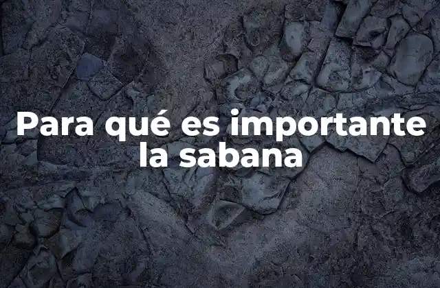 Para Qué es Importante la Sabana