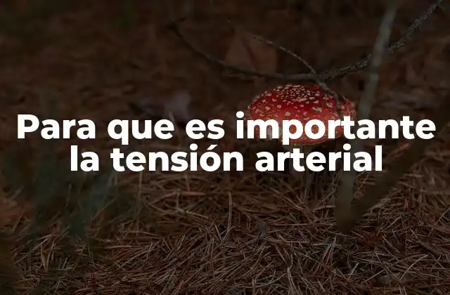 Para que es Importante la Tensión Arterial