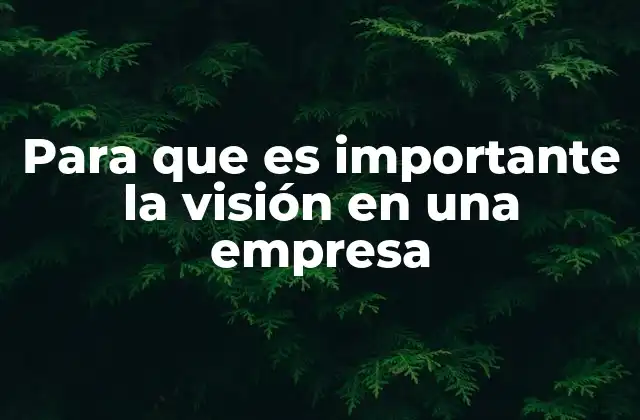 Para que es Importante la Visión en una Empresa