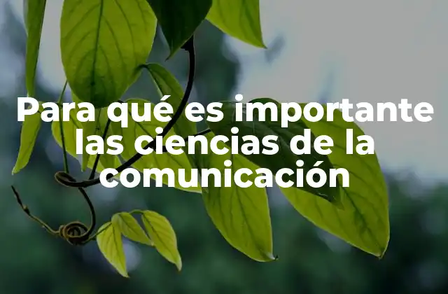 Para Qué es Importante las Ciencias de la Comunicación