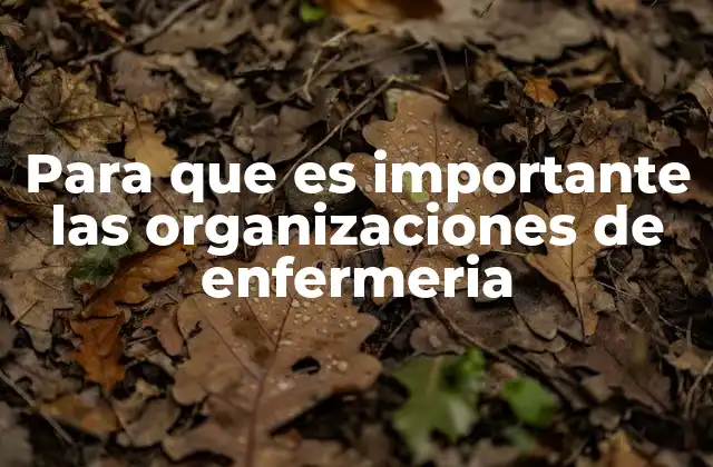 La influencia de las asociaciones de enfermería en la salud pública