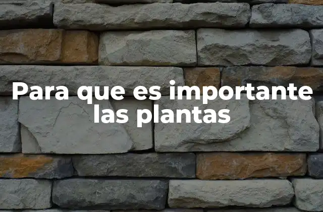 Para que es Importante las Plantas