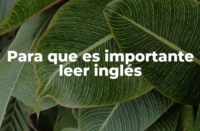 Para que es Importante Leer Inglés