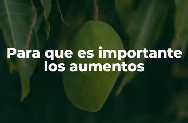 Para que es Importante los Aumentos