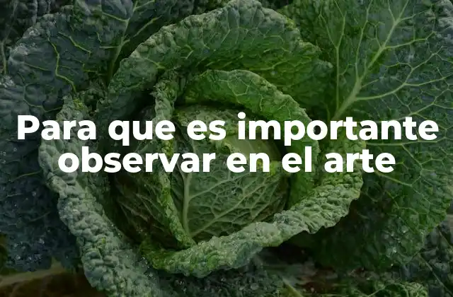 Para que es Importante Observar en el Arte