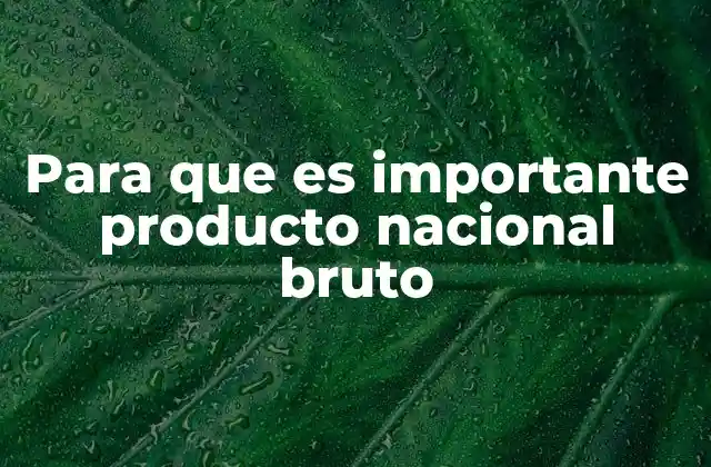 Para que es Importante Producto Nacional Bruto