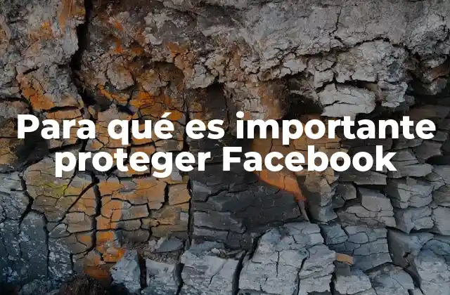Para Qué es Importante Proteger Facebook 2 La importancia de la privacidad en las redes sociales
