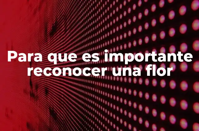 Para que es Importante Reconocer una Flor