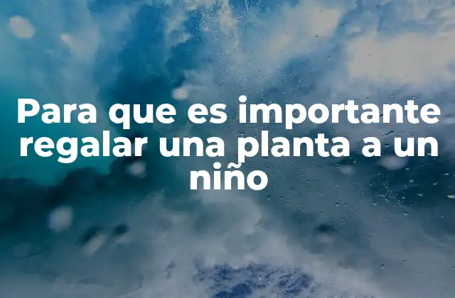 Para que es Importante Regalar una Planta a un Niño