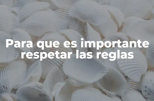 Para que es Importante Respetar las Reglas