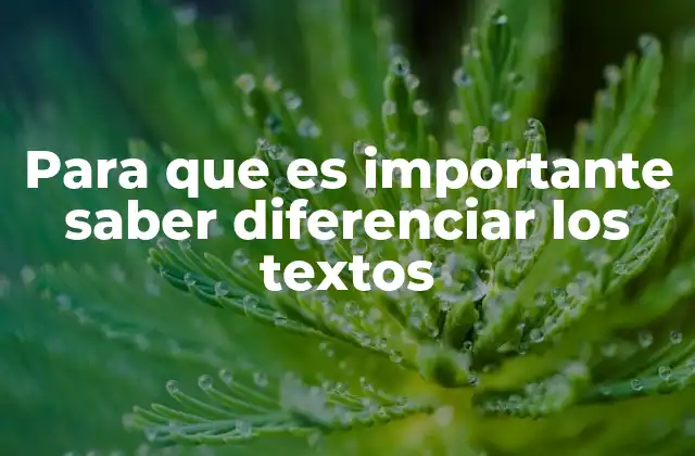 Para que es Importante Saber Diferenciar los Textos 2 Cómo la clasificación de textos mejora la comunicación efectiva