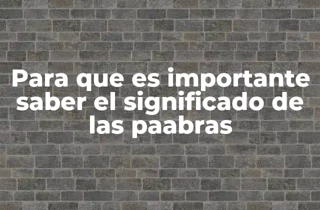Cómo el conocimiento del vocabulario influye en la educación