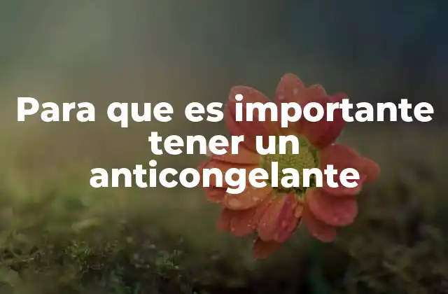 Para que es Importante Tener un Anticongelante