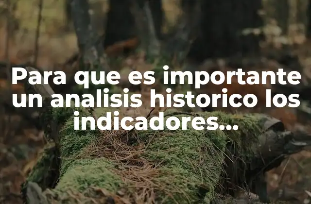 Para que es Importante un Analisis Historico los Indicadores Macroeconomicos