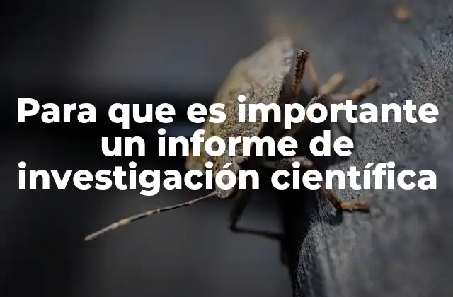 Para que es Importante un Informe de Investigación Científica