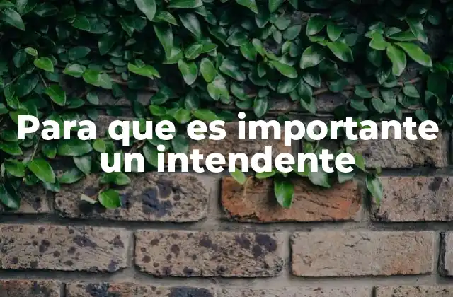 Para que es Importante un Intendente