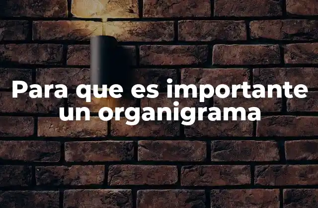 Para que es Importante un Organigrama