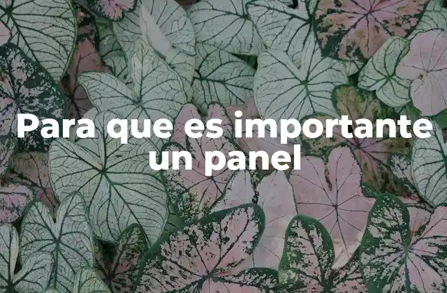 Para que es Importante un Panel