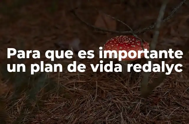 Para que es Importante un Plan de Vida Redalyc