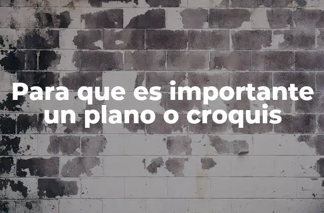 Para que es Importante un Plano o Croquis