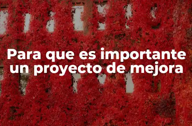 Para que es Importante un Proyecto de Mejora