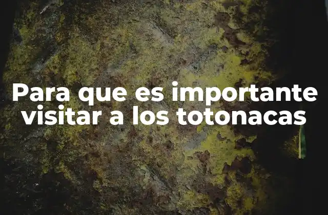 Para que es Importante Visitar a los Totonacas 2 Descubriendo la riqueza cultural de la región totonaca
