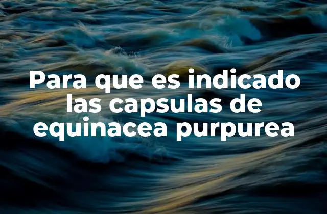 Para que es Indicado las Capsulas de Equinacea Purpurea