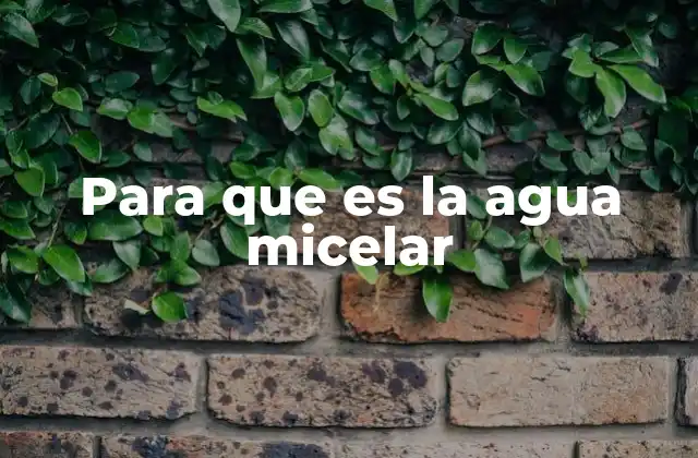 Para que es la Agua Micelar 2 Cómo funciona el agua micelar sin mencionar directamente el término