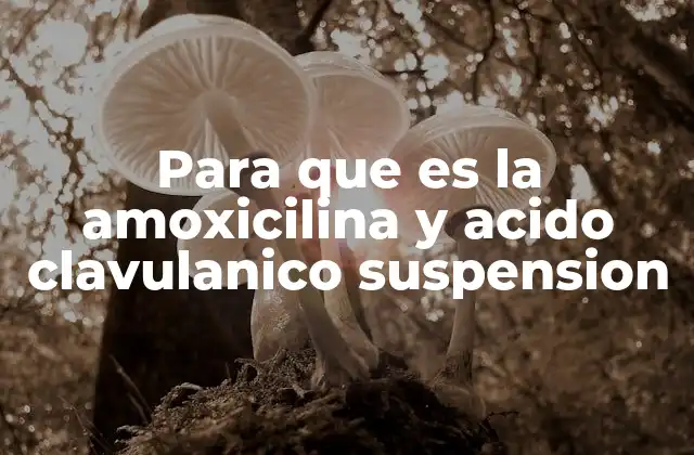 Para que es la Amoxicilina y Acido Clavulanico Suspension