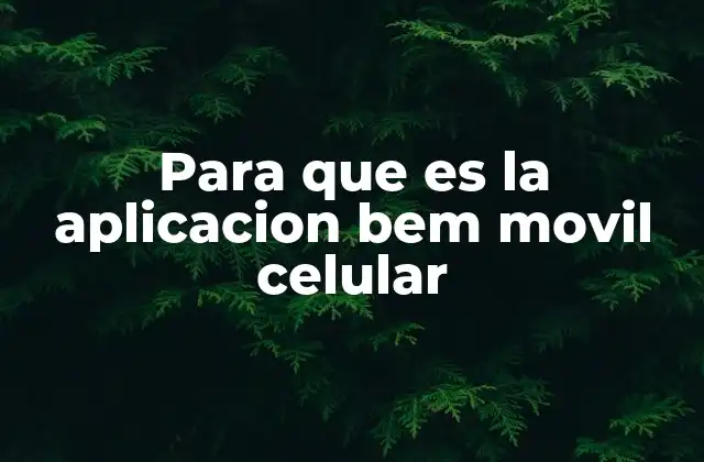 Para que es la Aplicacion Bem Movil Celular