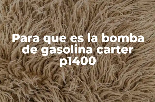Cómo funciona la bomba de gasolina Carter P1400