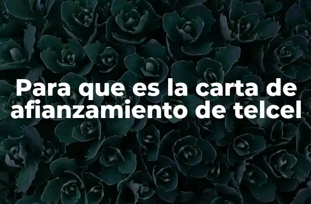 Para que es la Carta de Afianzamiento de Telcel