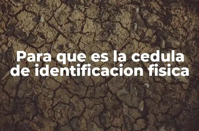 La importancia de la identificación oficial en la vida cotidiana