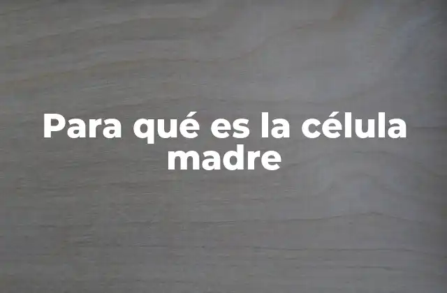 Para Qué es la Célula Madre