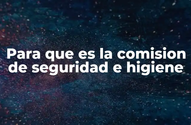Para que es la Comision de Seguridad e Higiene
