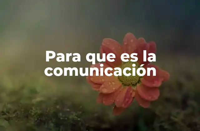 Para que es la Comunicación 2 La importancia del intercambio de ideas en la sociedad